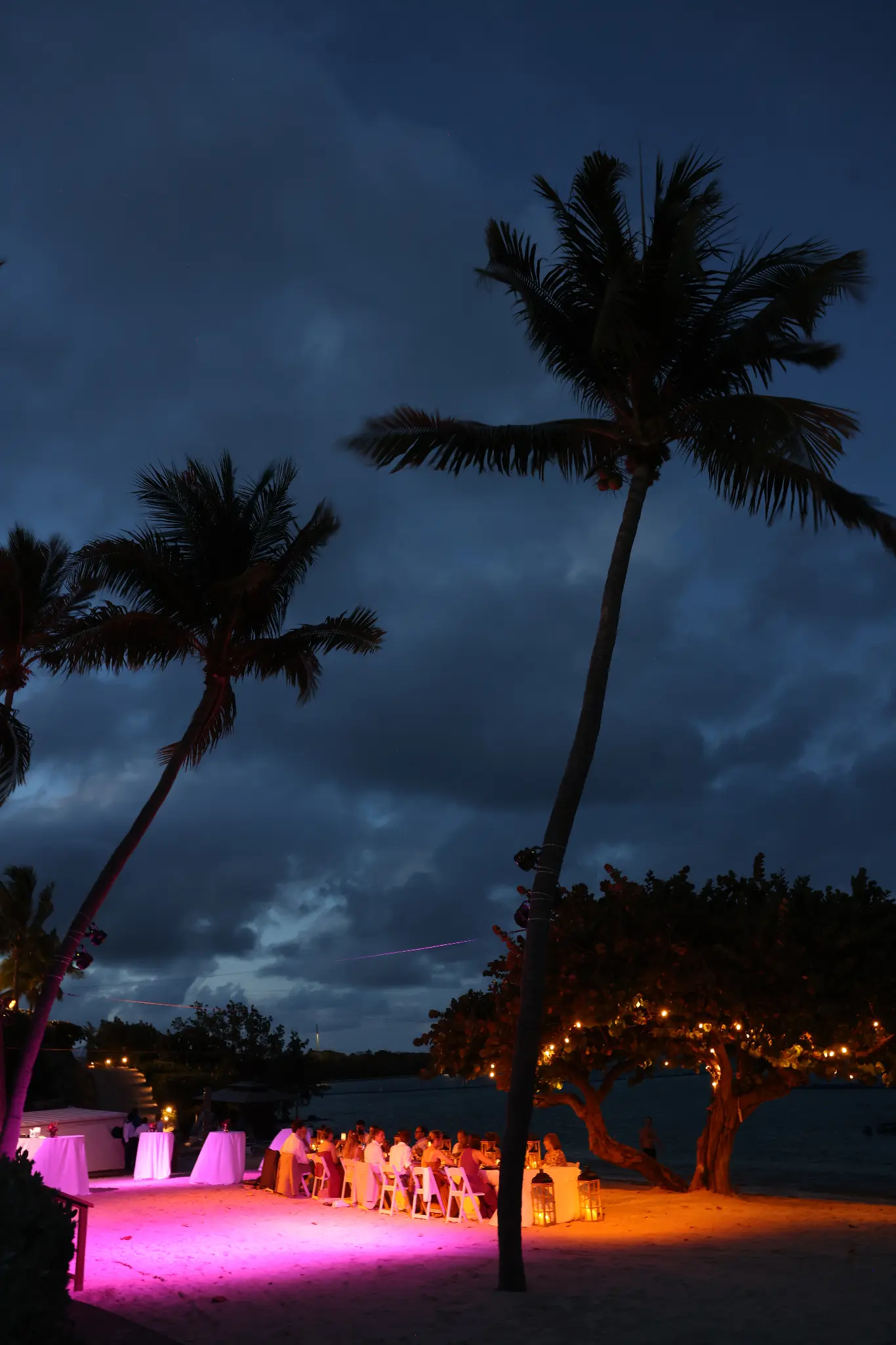 Palm trees and a wedding reception space lit in vivid evening color