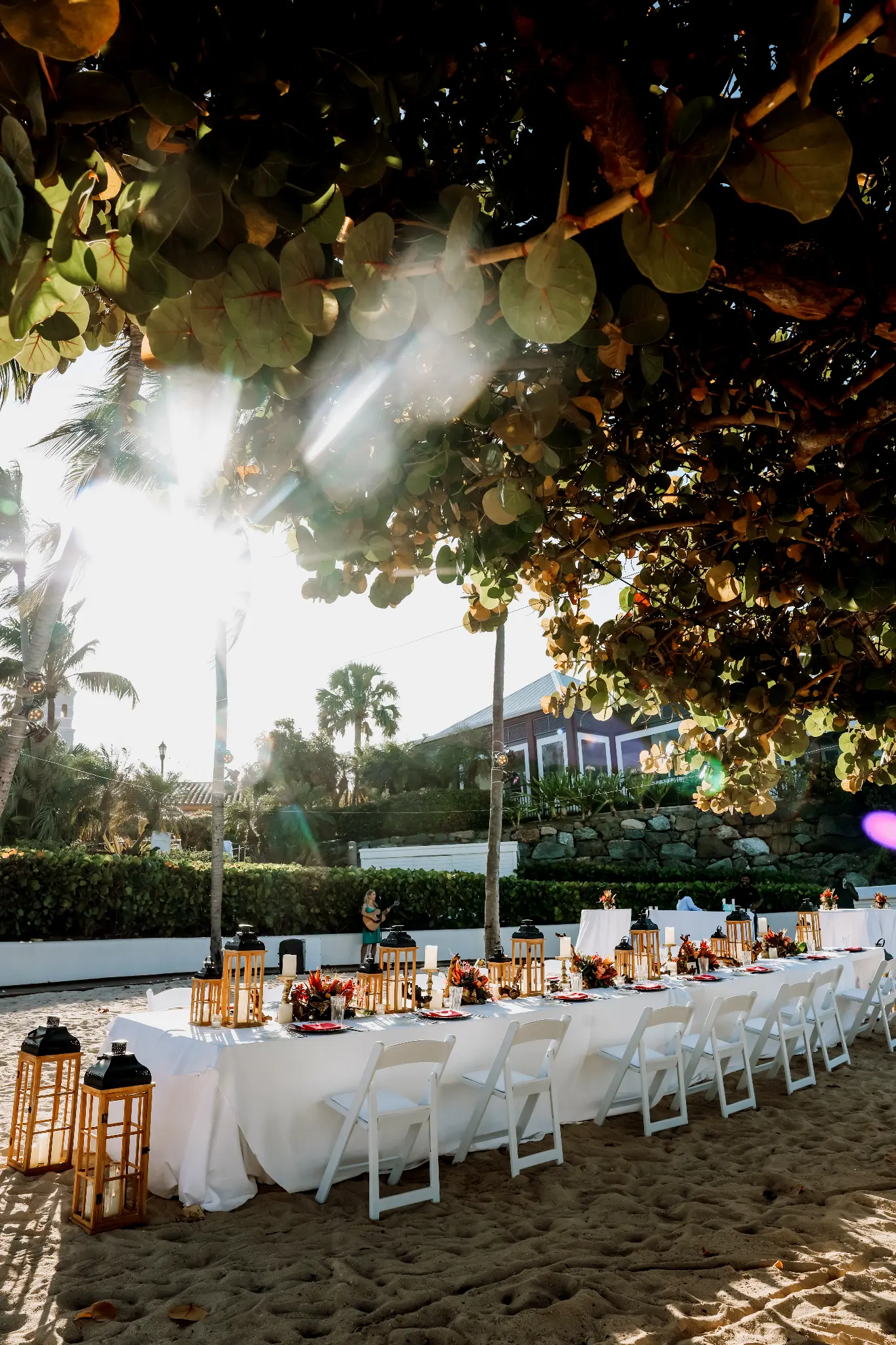 Long outdoor wedding dinner table beneath lush tropical greenery
