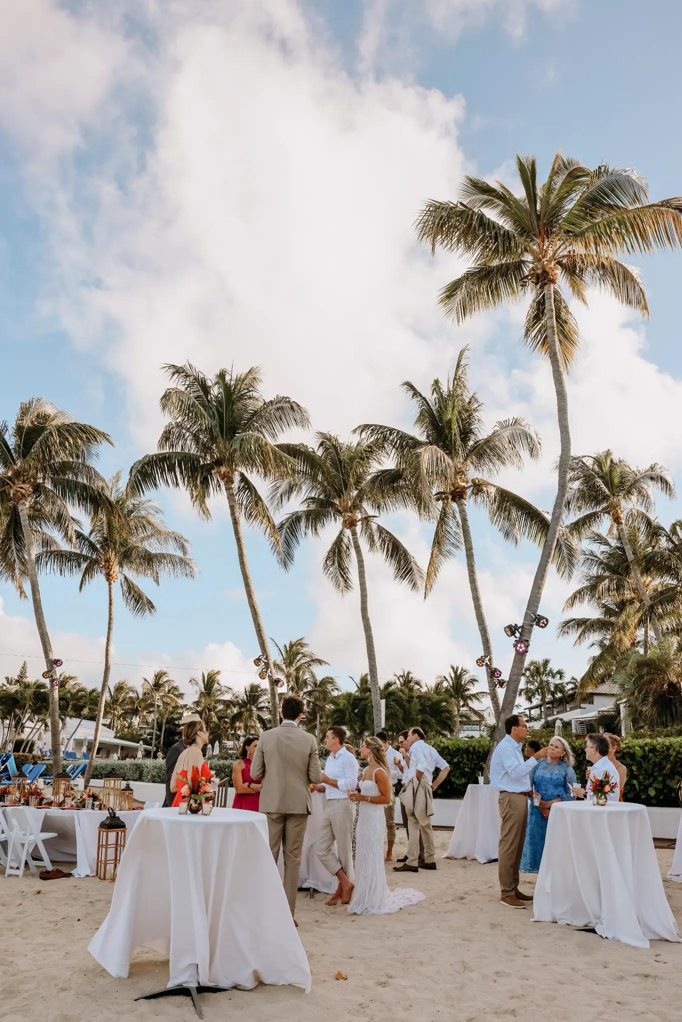Outdoor wedding cocktail tables beneath palm trees in daylight