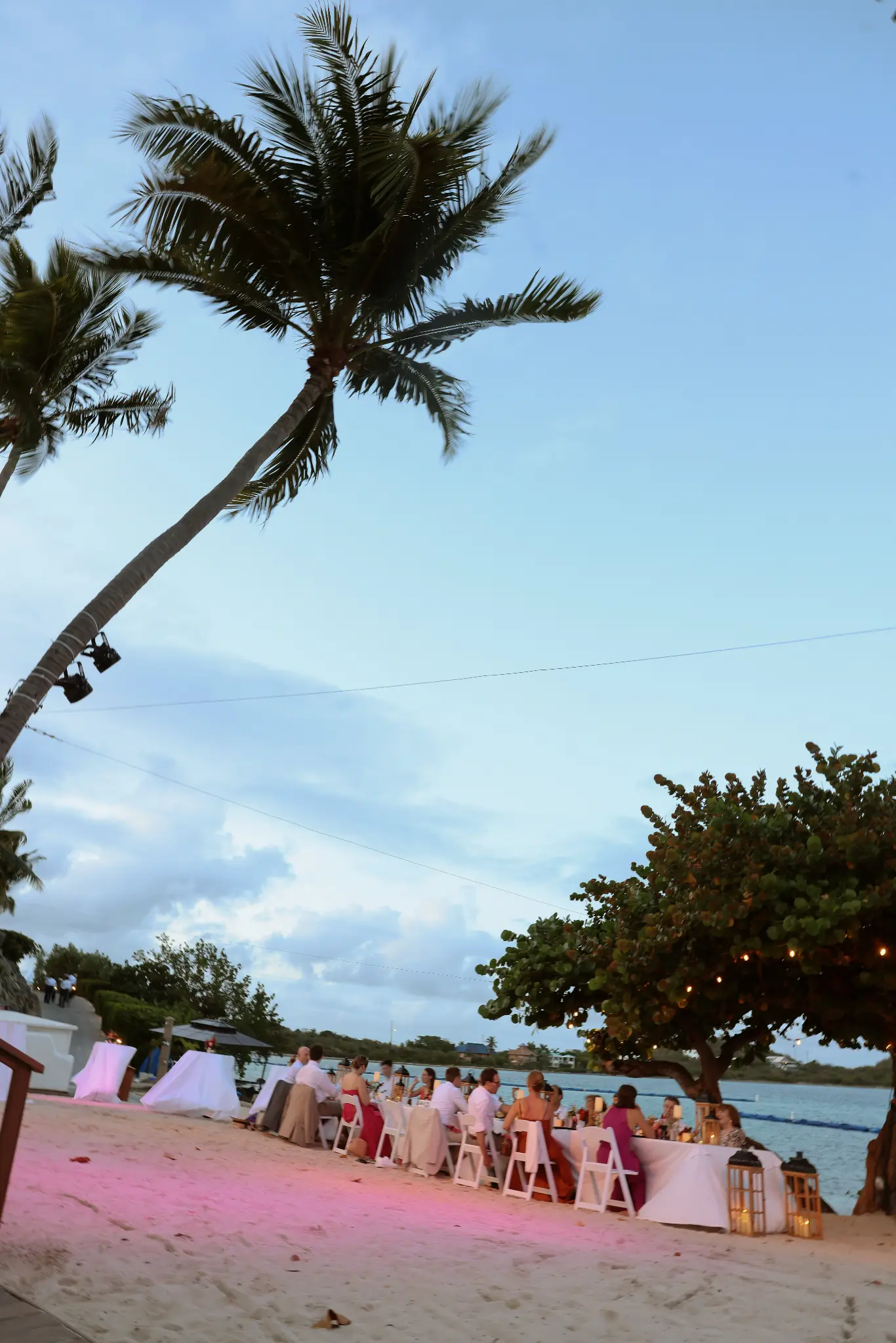 Outdoor lawn wedding reception with palms and evening decor