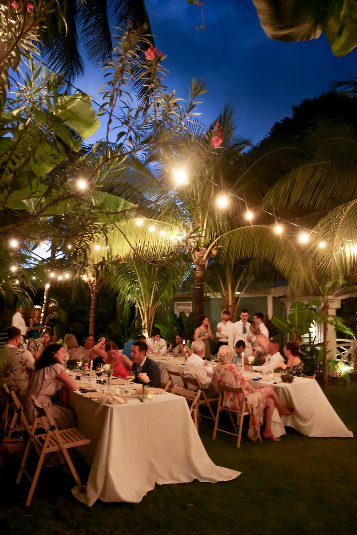 Wedding dinner reception beneath palms and string lights